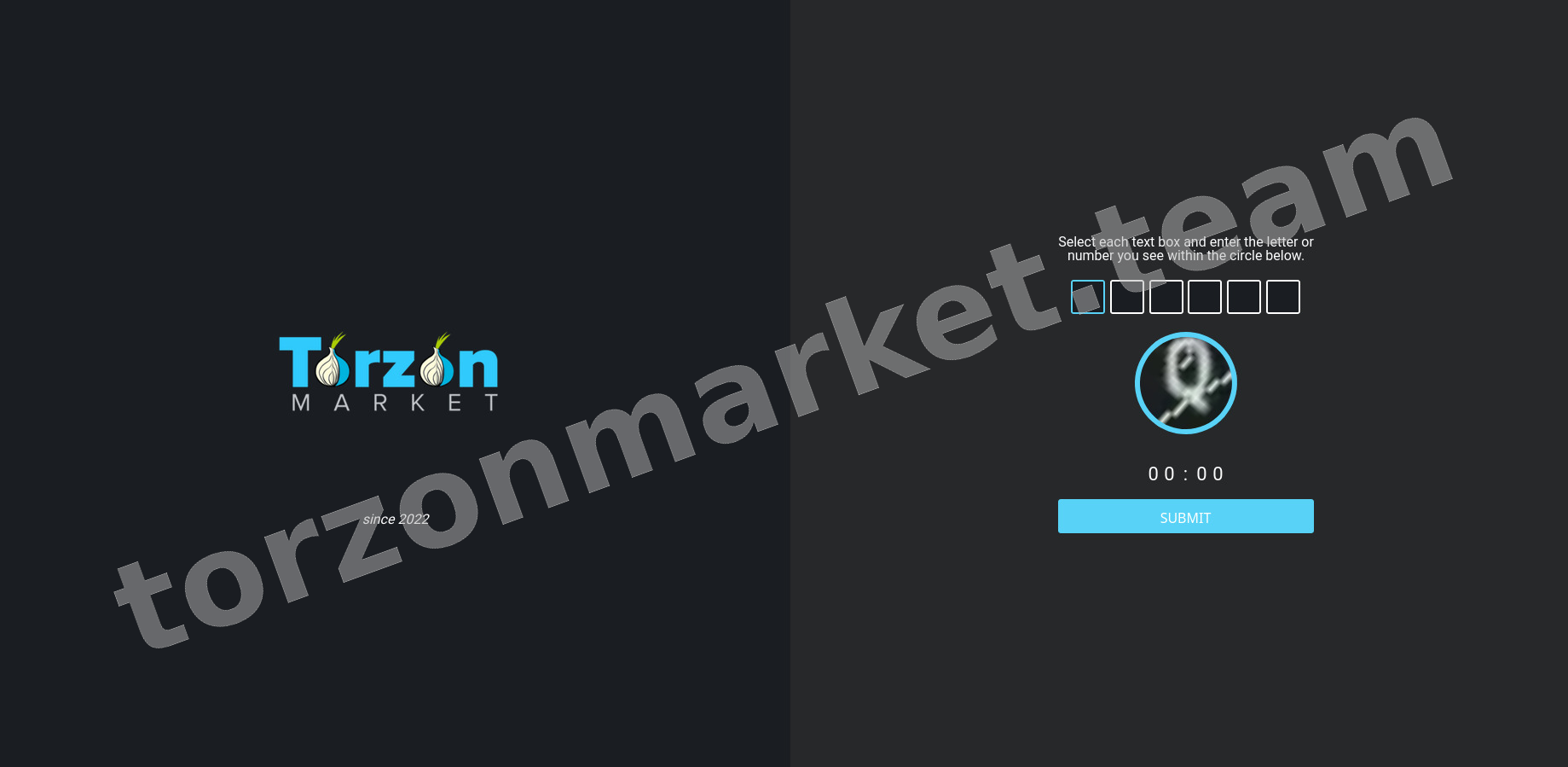 DDoS Protection Screen